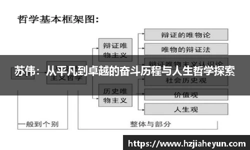 苏伟：从平凡到卓越的奋斗历程与人生哲学探索